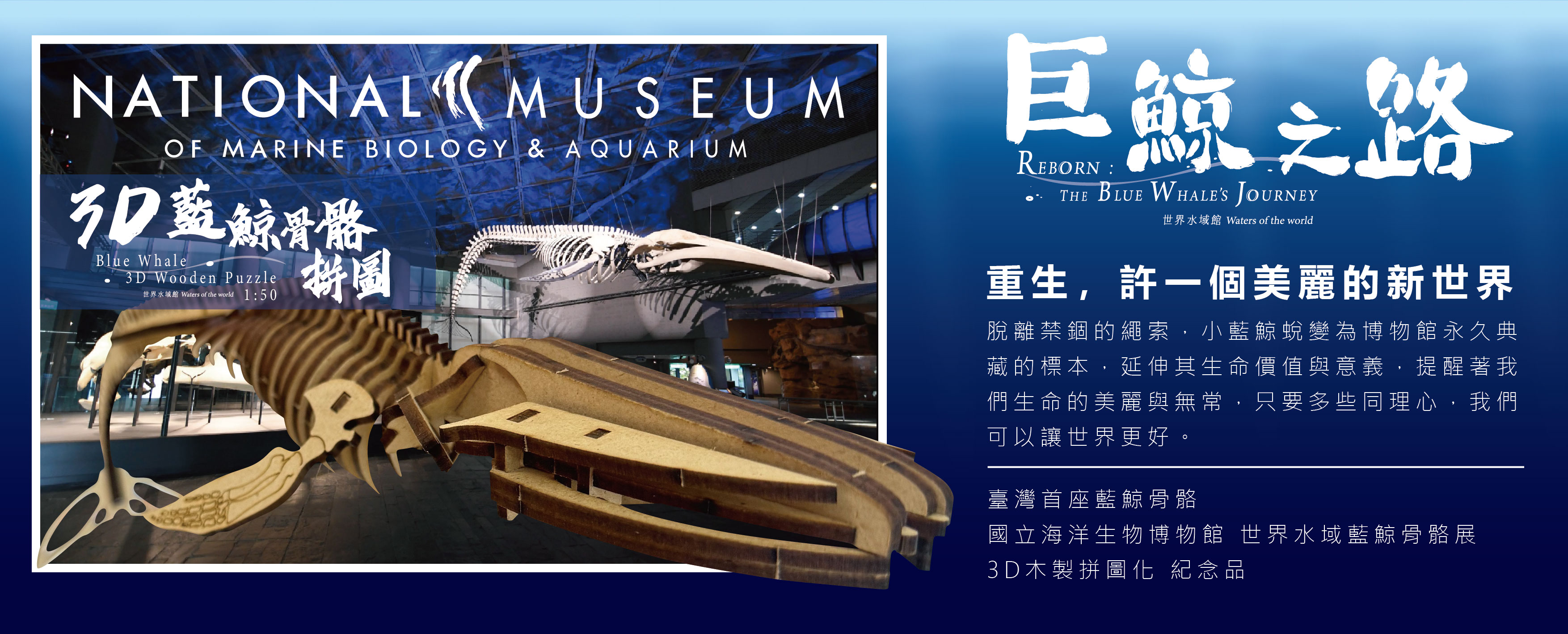 3D藍鯨骨骼拼圖,共3張圖