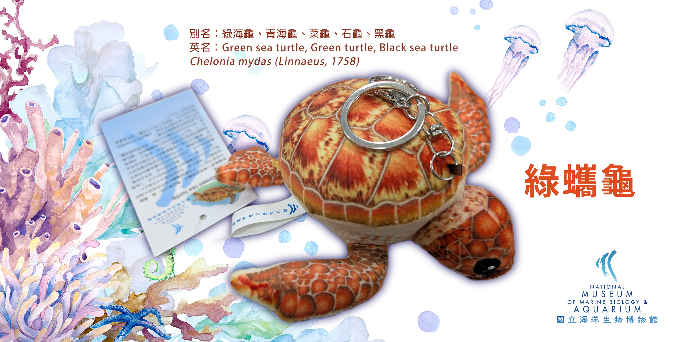 綠蠵龜絨毛玩偶鑰匙圈，共1張圖