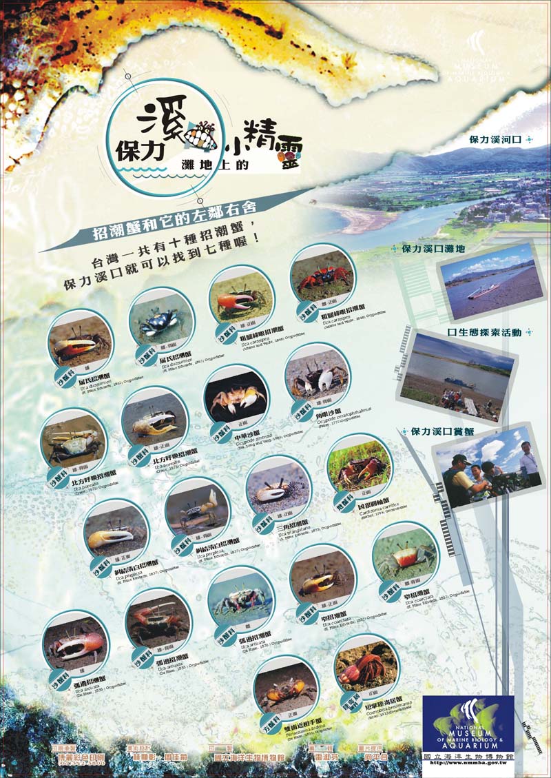 海報25-保力溪口灘地上的小精靈，共1張圖